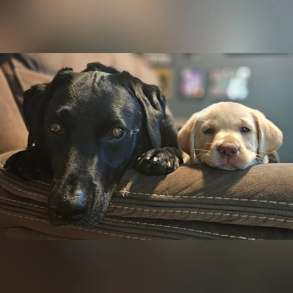 WELCOME ♡ - Picture 6 of 10